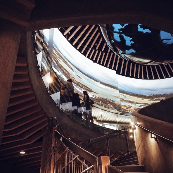 Looking up from the Aquarium's new reception/gallery space.