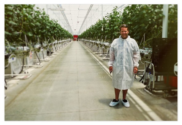 That's me standing in Windset Farms' cucumber greenhouse while on a tour of the facilities in Santa Maria, California — sporting the latest greenhouse fashion...